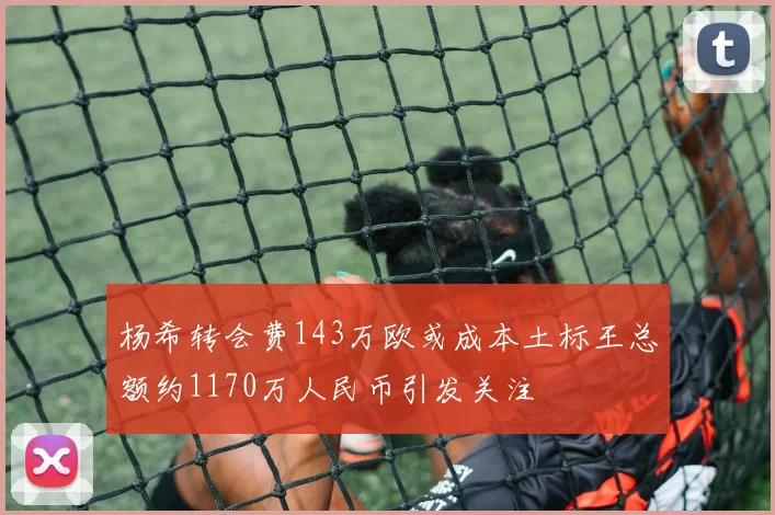 杨希转会费143万欧或成本土标王总额约1170万人民币引发关注