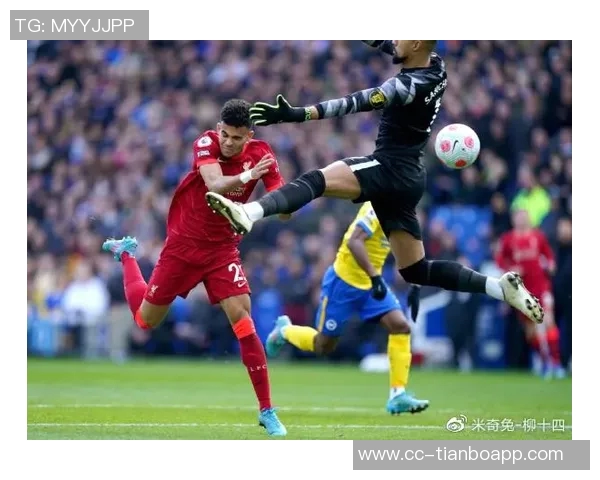 凯尔登盛赞文班在攻防两端的核心作用团队将紧随其后共同进步